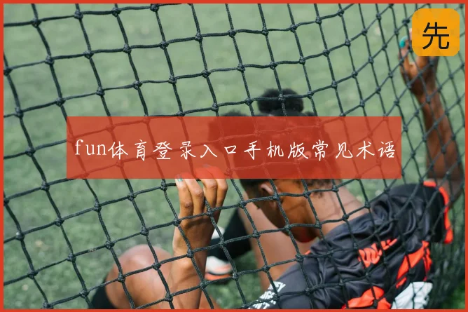 fun体育登录入口手机版常见术语