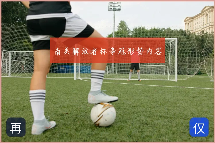 南美解放者杯争冠形势内容